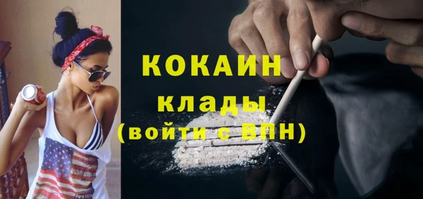 сатива Каменск-Шахтинский