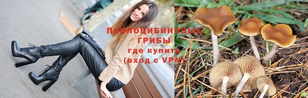 кокаин Каменногорск
